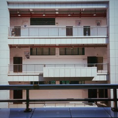 3596240