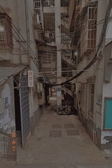 3597729