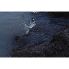 A7BFE46D-F181-4612-9208-B4E2C844516A/L0/001