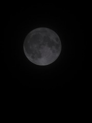 671042AB-DACD-43D6-8F48-191246E28D36/L0/001