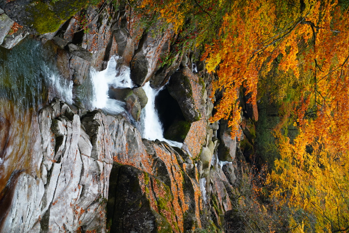 光雾山——黑熊沟秋色