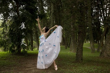 IMG_0831-31