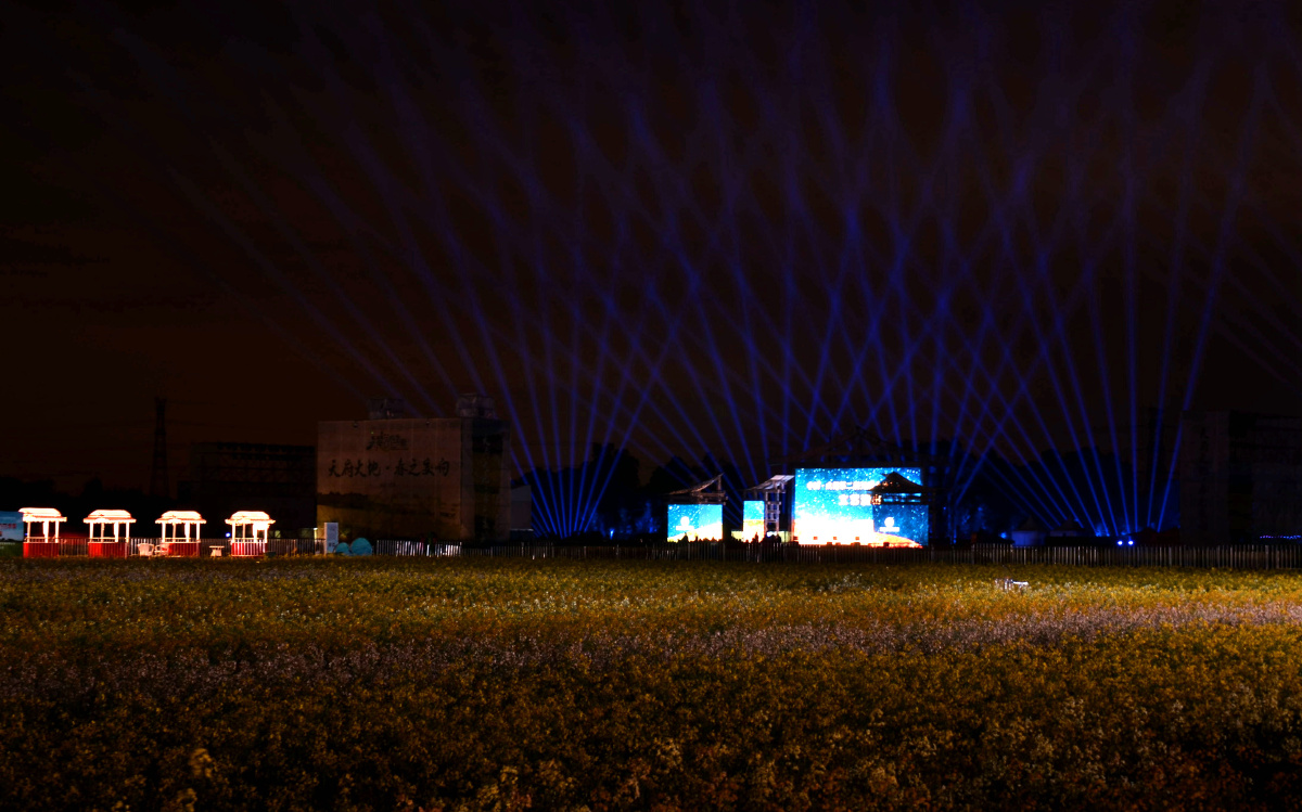 郫都区东林村大地艺术节