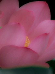 3DCD1642-24F7-493C-97AE-7C92373CD6F1/L0/001