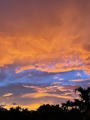 591A6C00-A12F-42AD-BE0C-66DDD468F068/L0/001