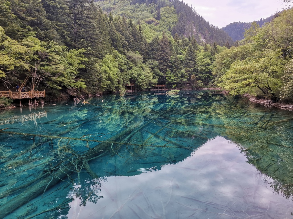 九寨沟水中倒影