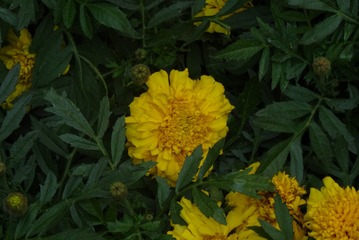 DA2B62D4-8AA5-4848-BFCE-258D76772F9A/L0/001