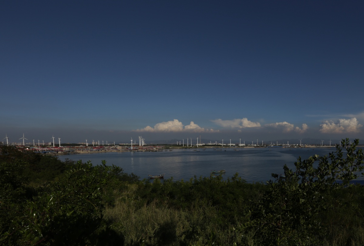 营口《仙人岛》