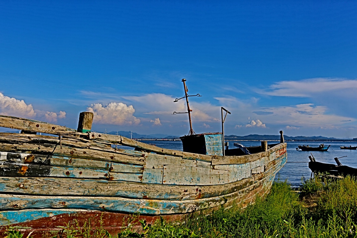 营口《仙人岛》
