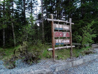 SDC12475