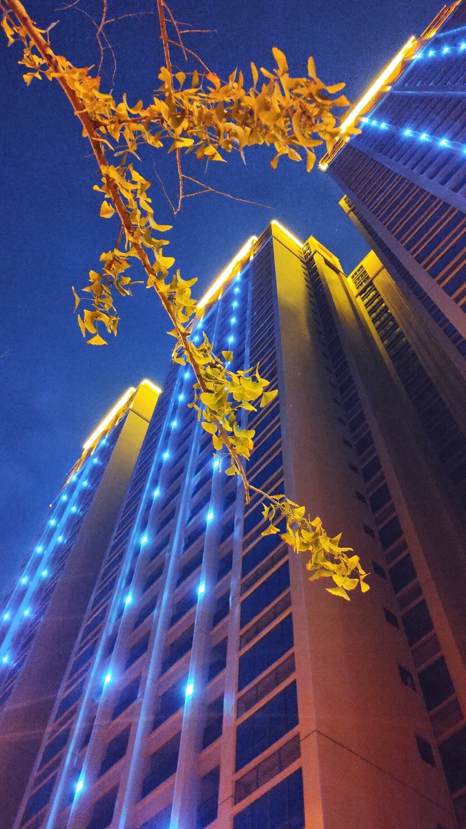 夜色灯光