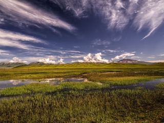 IMGP9567-色调对比