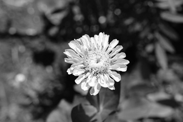 81E56829-B854-42CA-85FD-4609F22565B3/L0/001
