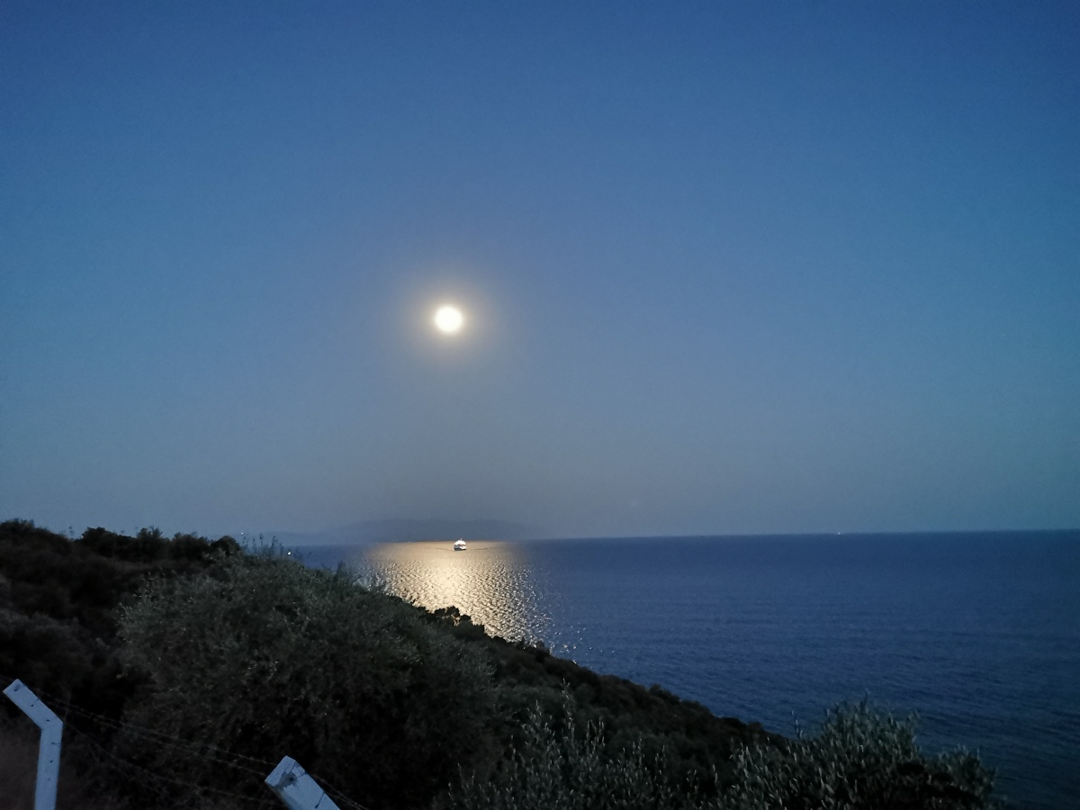 爱琴海上升明月61库萨达斯