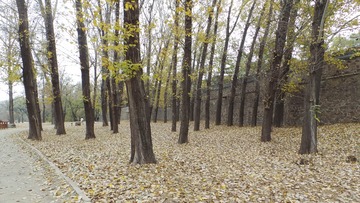 569DDCE0-4E15-4DA8-B7AC-EA6B380857A1/L0/001