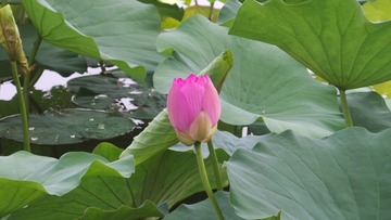 8FD7A7E0-BE5C-4A90-9503-AE79BD1AD788/L0/001