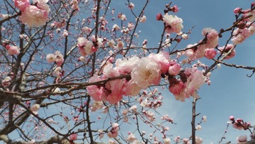 A7BDB3A7-6190-44EA-8E90-49181D90ACD8/L0/001