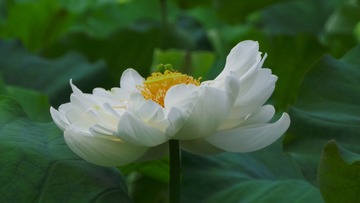 212AE5F6-481F-4C05-A2DF-8A07C4DCA3E2/L0/001