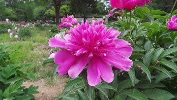 CBE9035B-90D1-4A43-BF1E-8F78795A1A43/L0/001
