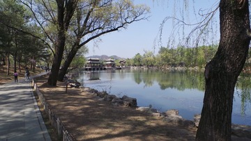 A8408F7F-F9CA-4445-89DD-65D3AE63B5D0/L0/001