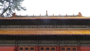 BDBF8E6A-4CB7-491D-8A50-6C7A9EEB170E/L0/001