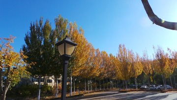 878E06BF-C5D9-45D6-9C74-6B4FC0D18949/L0/001