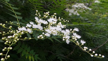 5662FE4C-E0DC-45B7-AE9B-518FD2399396/L0/001