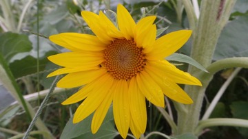 03242AA5-CC20-4ADA-AED6-2CB44A16D3EB/L0/001