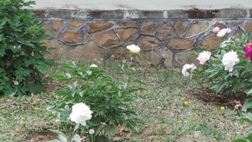 1FF5B08F-D6C8-47D4-9B3C-D7DFF6EF0785/L0/001