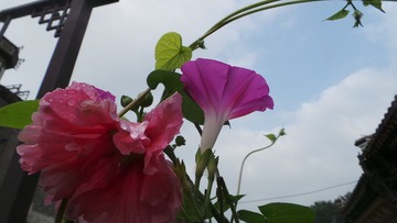 B781021B-77B0-4995-8469-83FC71DB8F82/L0/001