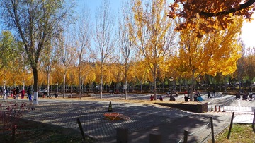51E955D8-E15E-44A7-A23B-00CF65AEB513/L0/001