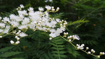 931D347C-3815-46EB-A3A6-1F0B10BD94C8/L0/001