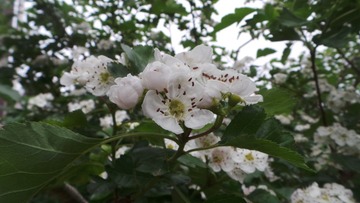 27D05FDD-570F-4EDB-AB06-19D92F88B739/L0/001