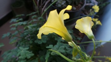 9A2E1D99-ED42-4B9A-B417-24FA408C8F94/L0/001