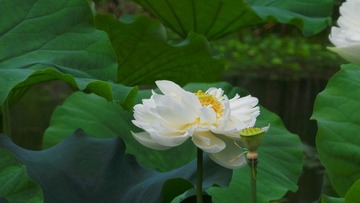 A069B311-51C5-4C95-ADB9-CD7B9946DBBB/L0/001