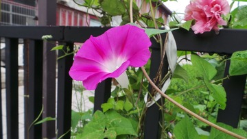 6E8CE705-D170-40FC-A778-8F86D3ACC3AC/L0/001