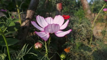 08F42291-23BA-4A98-8D16-4BD00E9B0C1B/L0/001