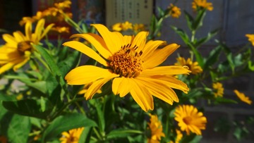 2B95AD9D-AD63-44C5-A438-2735DCA3DB03/L0/001