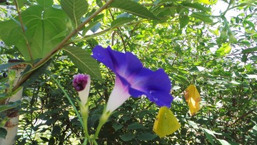 2EC382C9-BD72-48B4-BD53-CFCB506029FC/L0/001