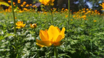 569845D3-D927-4FE2-BB41-52F622274DEB/L0/001