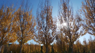3B1FA7AC-7D09-425C-80DF-01F7C86180E9/L0/001