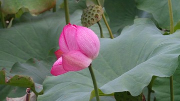 97F073FD-71CD-45B1-A96B-45BB5A4B7747/L0/001