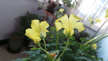 1238BD81-692C-4CCF-A8F5-827927D90DFD/L0/001