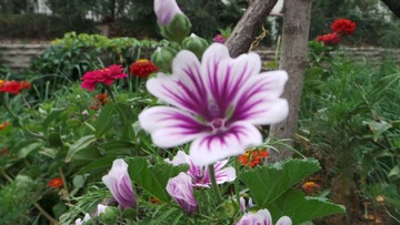 CF1EF0A3-EF2F-4004-9488-0619D9930A1E/L0/001