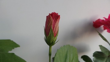 410855B5-A35E-46EC-B8EB-F456E47A1D30/L0/001