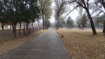 4ACD4F38-1A5E-4C89-92EF-6B758B0EB2BF/L0/001