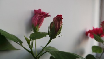 0F823ACB-2562-439F-B894-02824BB26B0D/L0/001