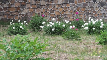 13BDA530-52F9-4C09-A7F7-23B0AB7622F0/L0/001