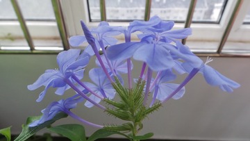 3D714518-DA22-4B52-9804-A25C856CEE93/L0/001