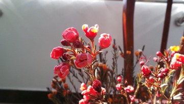 BCB06170-E65B-49CB-8E1D-E54B1A298563/L0/001